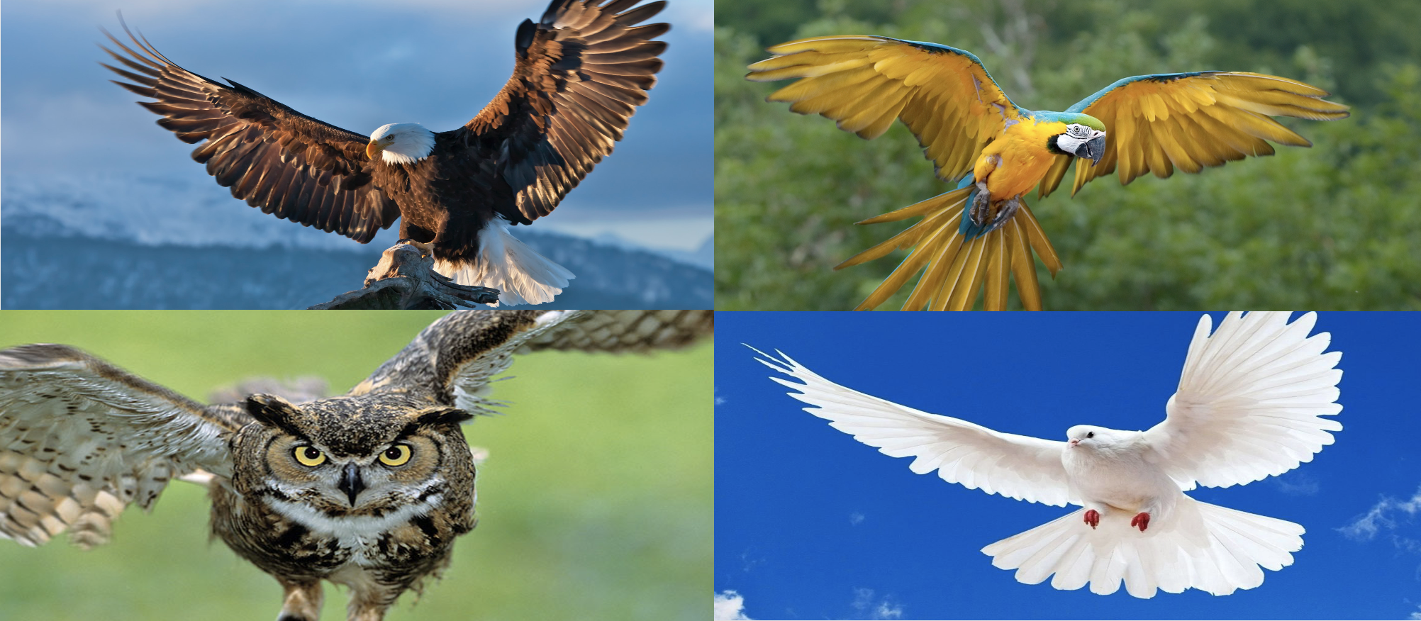 communication styles